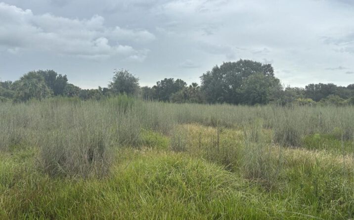 Pictures of Land property located at NW 294TH ST, Okeechobee, FL 34972 for sales - image #1