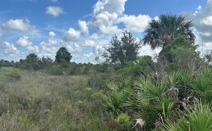 Pictures of Land property located at NW 314th St, Okeechobee, FL 34972 for sales - image #1