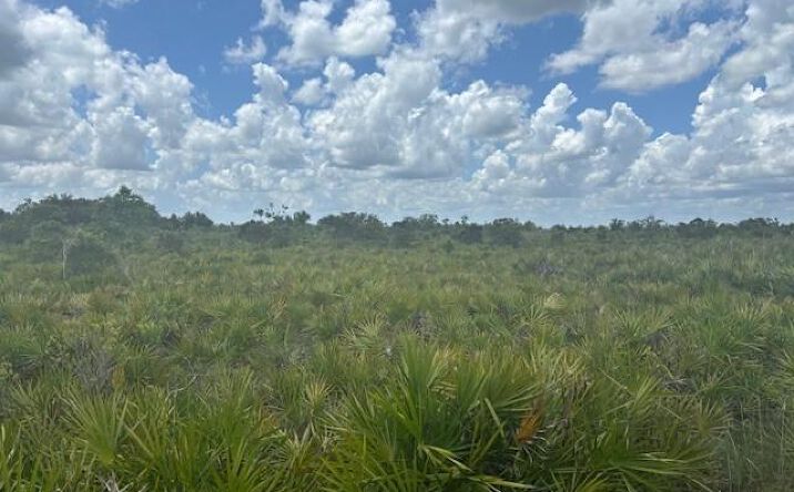 Pictures of Land property located at NW 316th St, Okeechobee, FL 34972 for sales - image #1