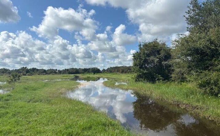 Pictures of Land property located at NW 316th St, Okeechobee, FL 34972 for sales - image #1