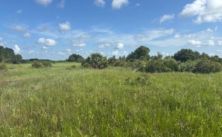 Pictures of Land property located at NW 318th St, Okeechobee, FL 34972 for sales - image #1