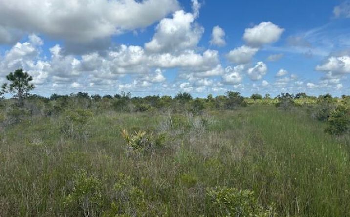 Pictures of Land property located at NW 318th St, Okeechobee, FL 34972 for sales - image #1