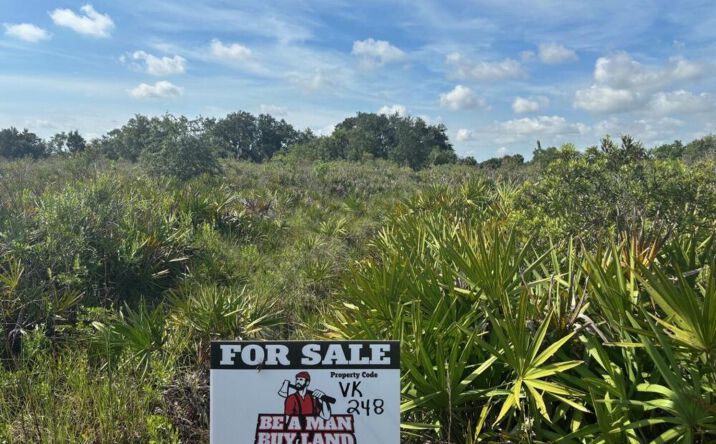 Pictures of Land property located at NW 310th St, Okeechobee, FL 34972 for sales - image #1