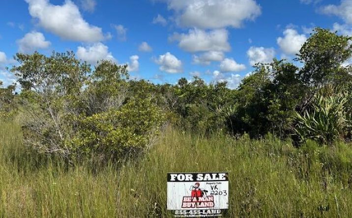 Pictures of Land property located at NW 310th St, Okeechobee, FL 34972 for sales - image #1
