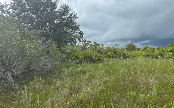 Pictures of Land property located at NW 312th St, Okeechobee, FL 34972 for sales - image #1