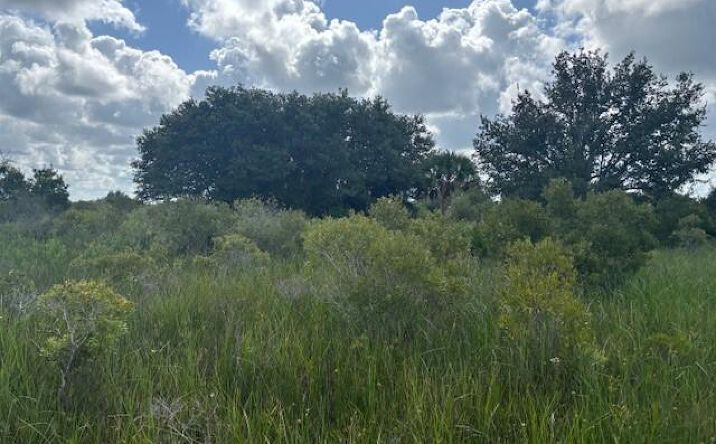 Pictures of Land property located at NW 316th St, Okeechobee, FL 34972 for sales - image #1