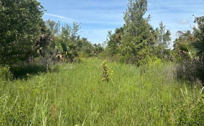 Pictures of Land property located at NW 300TH St., Okeechobee, FL 34972 for sales - image #1