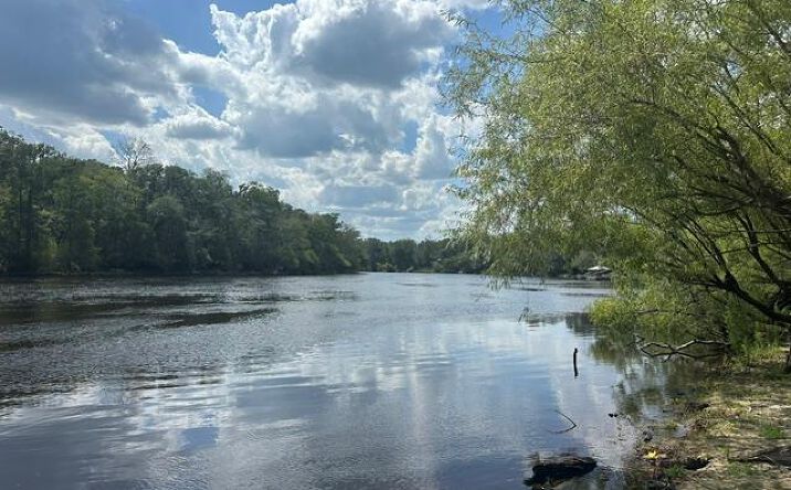 Pictures of Land property located at 1109 NW 78th Ave, Bell, FL 32619 for sales - image #1
