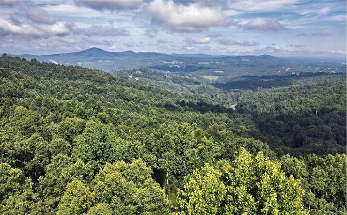 Pictures of Land property located at Lt 95 Thirteen Hundred, Blairsville, GA 30512 for sales - image #1