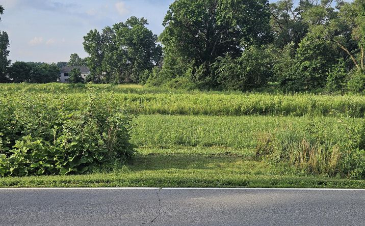 Pictures of Land property located at Haglund Road, Burns Harbor, IN 46304 for sales - image #1