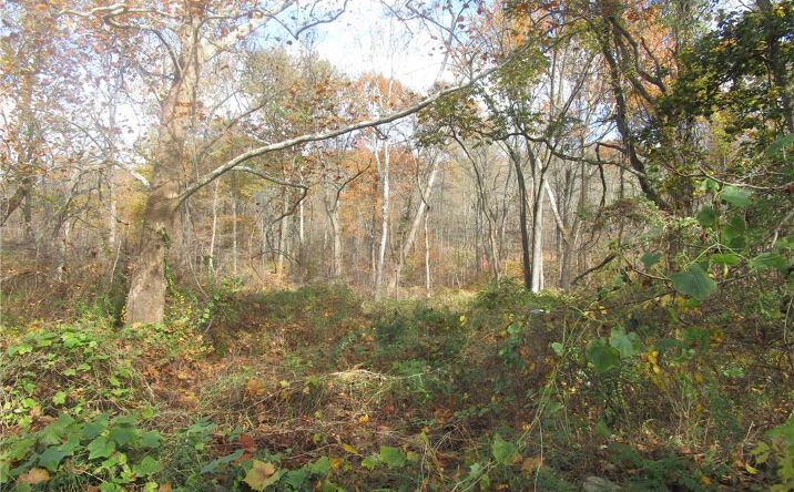 Pictures of Land, Multifamily property located at 3766 Foothill, Mohegan Lake, NY 10547 for sales - image #1