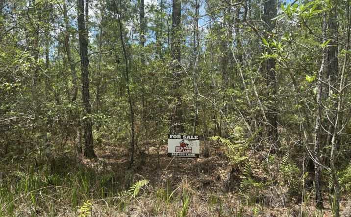 Pictures of Land property located at Water Rd GS111, Clermont, FL 34714 for sales - image #1