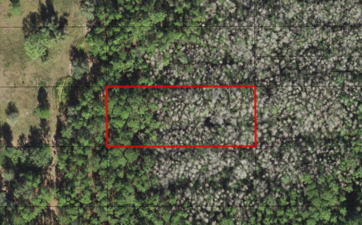 Pictures of Land property located at OPP202, Polk City, FL 33868 for sales - image #1