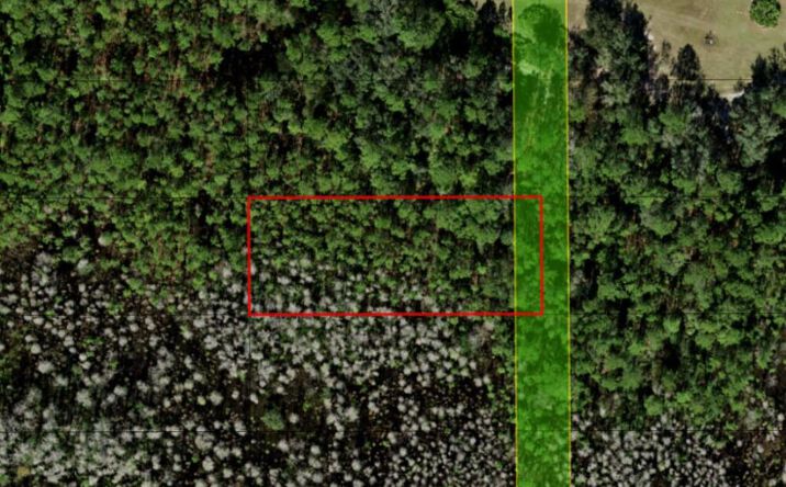 Pictures of Land property located at Old Grade Rd OPP113, Polk City, FL 33868 for sales - image #1