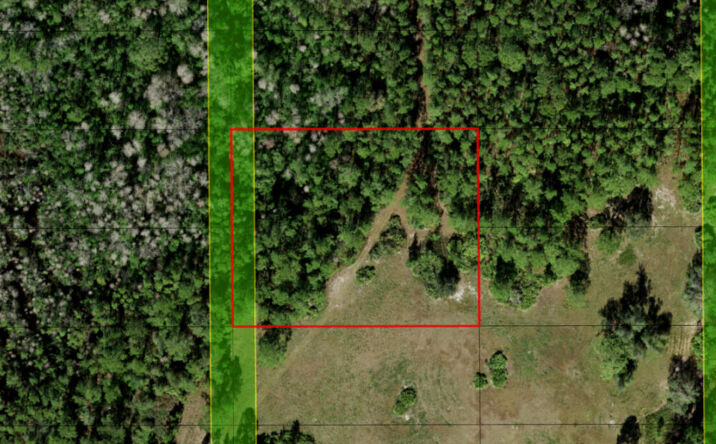 Pictures of Land property located at OPP111, Polk City, FL 33868 for sales - image #1