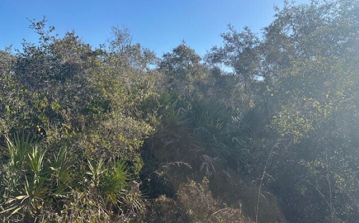 Pictures of Land property located at 2280 93rd Ct, Vero Beach, FL 32966 for sales - image #1