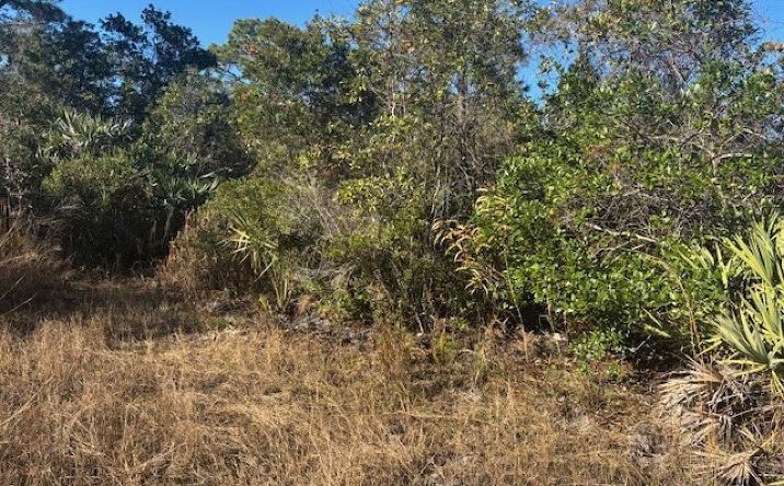 Pictures of Land property located at 42260 93rd Ave, Vero Beach, FL 32966 for sales - image #1