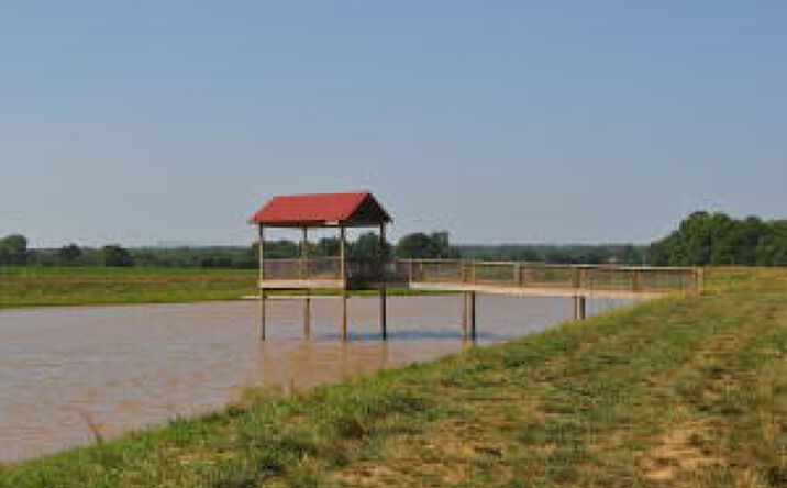 Pictures of Land property located at North Farm Road 175, Springfield, MO 65803 for sales - image #1