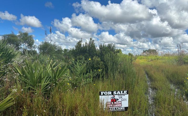 Pictures of Land property located at NW 316th St, Okeechobee, FL 34972 for sales - image #1