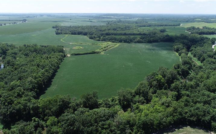 Pictures of Land, Special Purpose property located at W 88th Street, Orrick, MO 64077 for sales - image #1