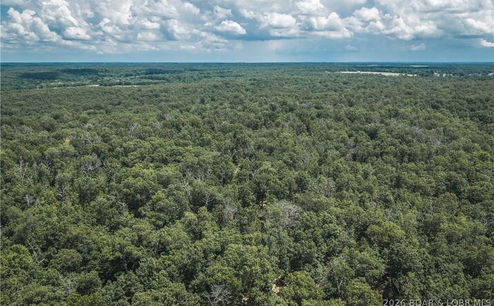 Pictures of Land property located at Geronimo Springs-Tract 5, Macks Creek, MO 65786 for sales - image #1