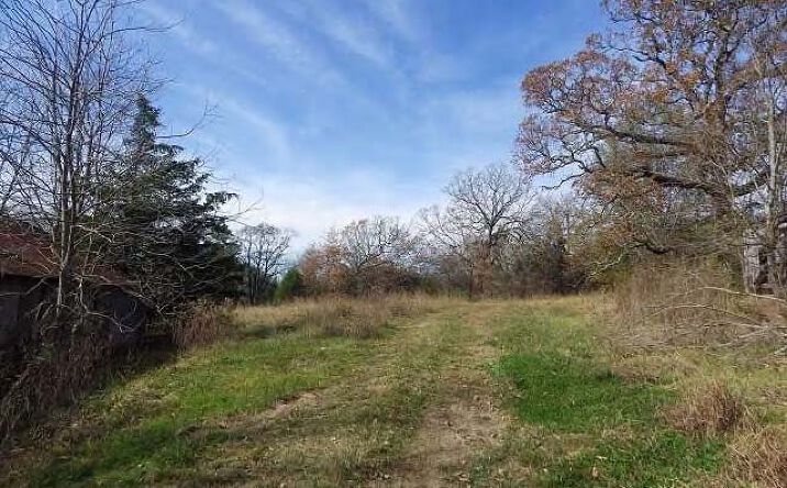 Pictures of Land property located at Reed Rd/Hwy 82 (76 +/- ac), Starkville, MS 39759 for sales - image #1