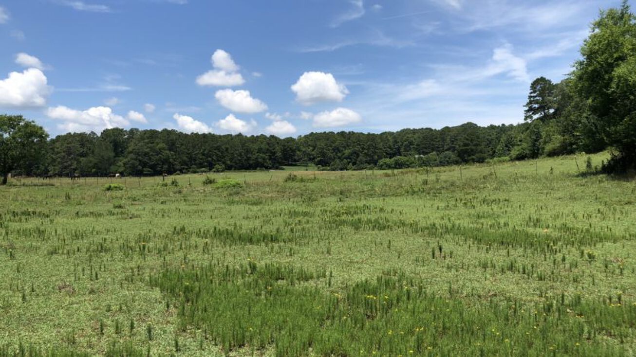 Puckett Rd SE, Emerson, GA 30137