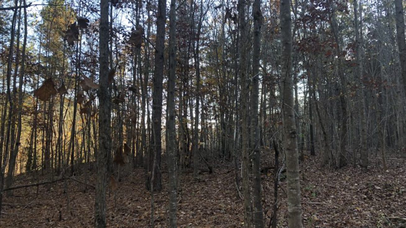 Salacoa Road, Rydal, GA 30171 Land for Sale Salacoa Road