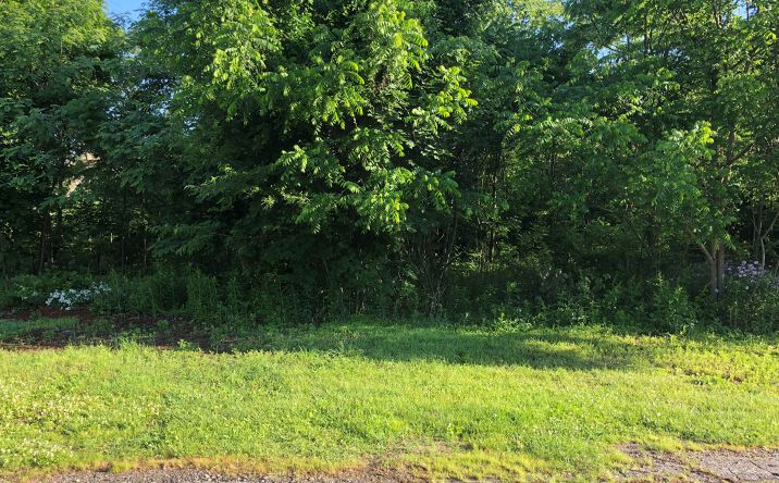 Pictures of Land property located at 80 Hayes Street, Torrington, CT 06790 for sales - image #1