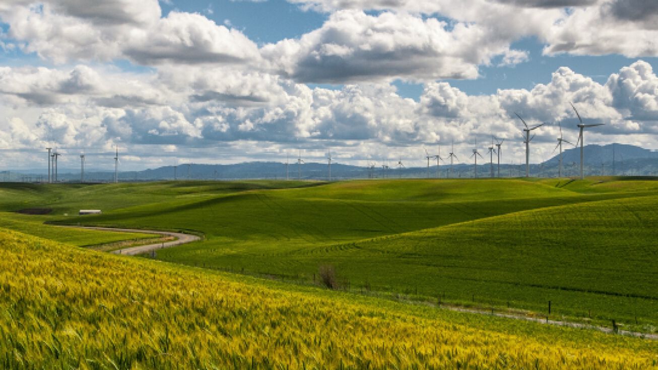 Zavala County Texas Royalty Property, Crystal City, TX 78829