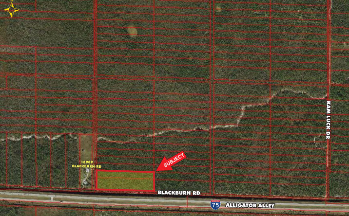 Pictures of Land property located at Blackburn Road, Naples, FL 34117 for sales - image #1