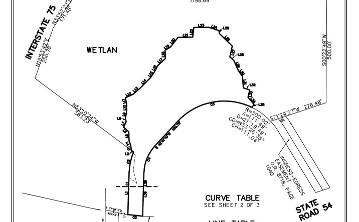 2600 Bruce B Downs Blvd, Wesley Chapel, FL 33544 - Land For Sale ...