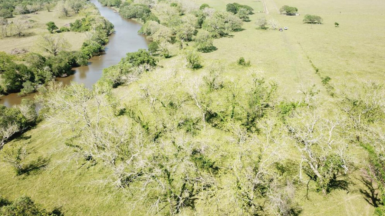 0 CR 156, Clements Rd Road, Sargent, TX 77441