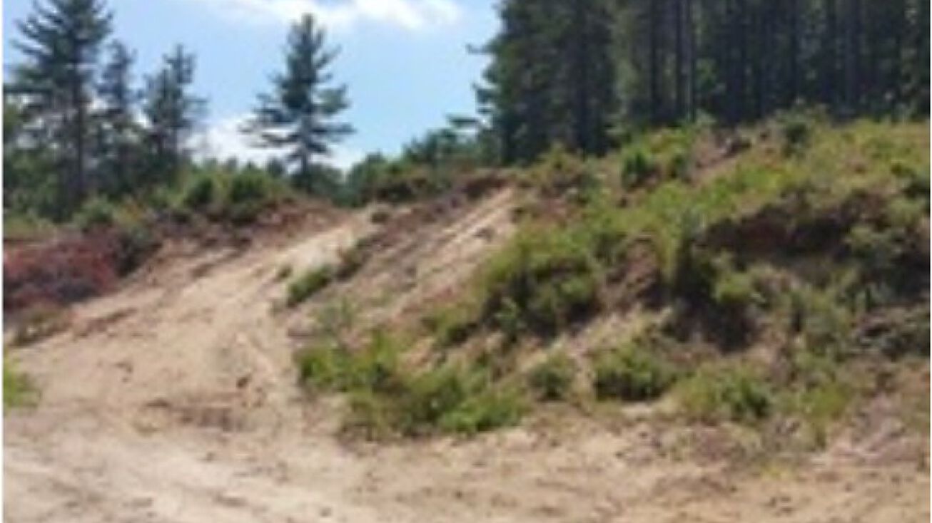 25 Silver Hill Road, Auburn, NH 03032