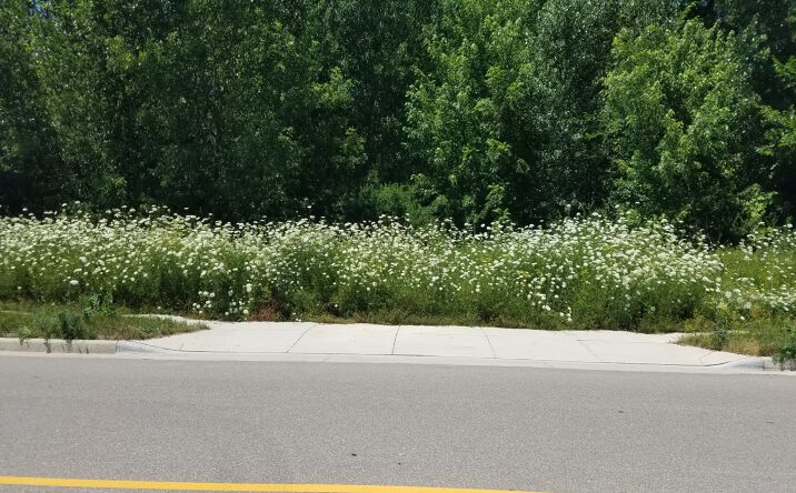 Pictures of Mixed Use, Retail property located at 6204 Nesbitt Rd, Fitchburg, WI 53719 for sales - image #1