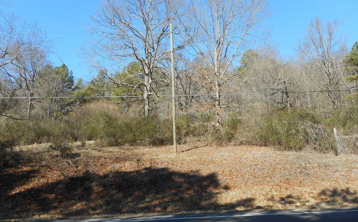 Pictures of Land property located at 8034 US Hwy 11, Springville, AL 35146 for sales - image #1