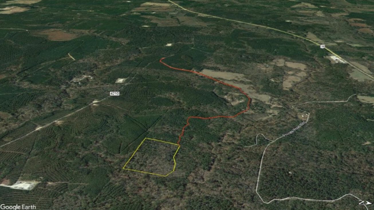 21 Acres Off CR 4210, Woodville, TX 75979 Land for Sale 21 Acres