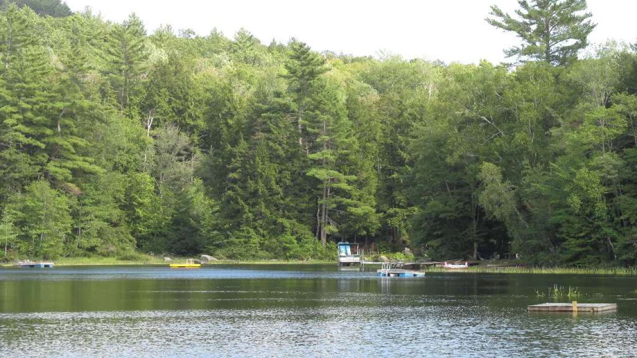 Kemp Rd, Croydon, NH 03773