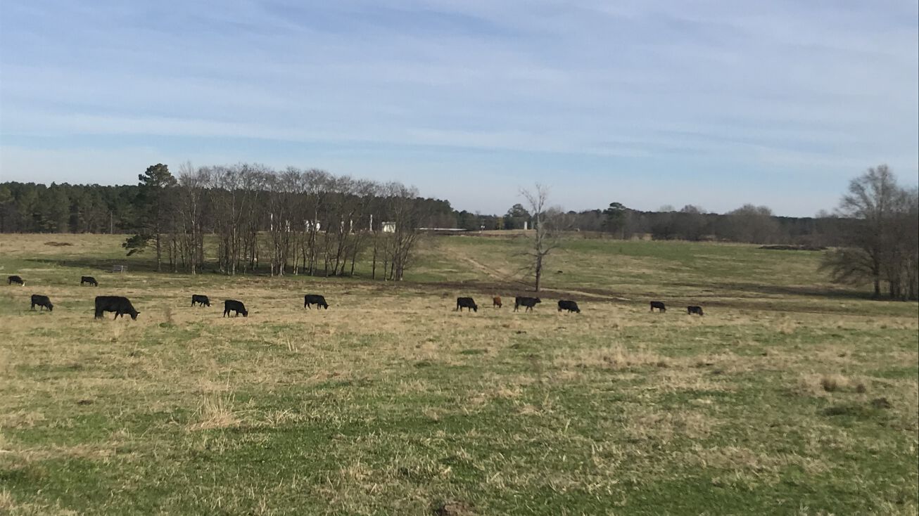 231 Co Rd 1822, Rose Hill, MS 39356