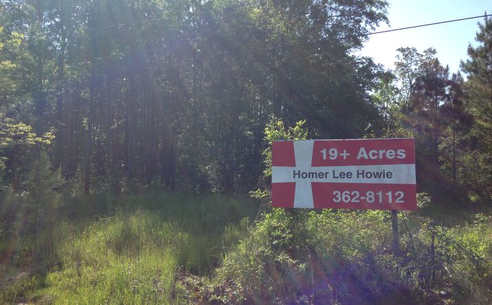 Pictures of Land property located at MS-25, Flowood, MS 39232 for sales - image #1
