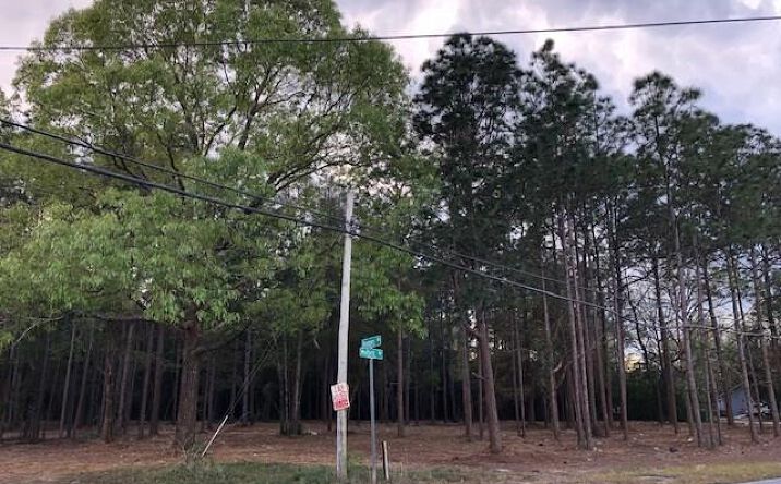 Pictures of Land property located at 0 Moffett Road, Wilmer, AL 36587 for sales - image #1