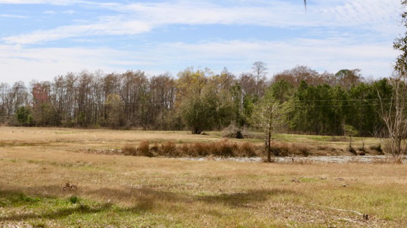 Lunsford Road, Colquitt, GA 39837