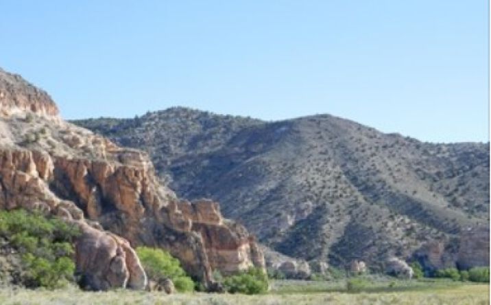 Pictures of Land property located at 1234 Highway 317 (Acres 74.69), Caliente, NV 89008 for sales - image #1
