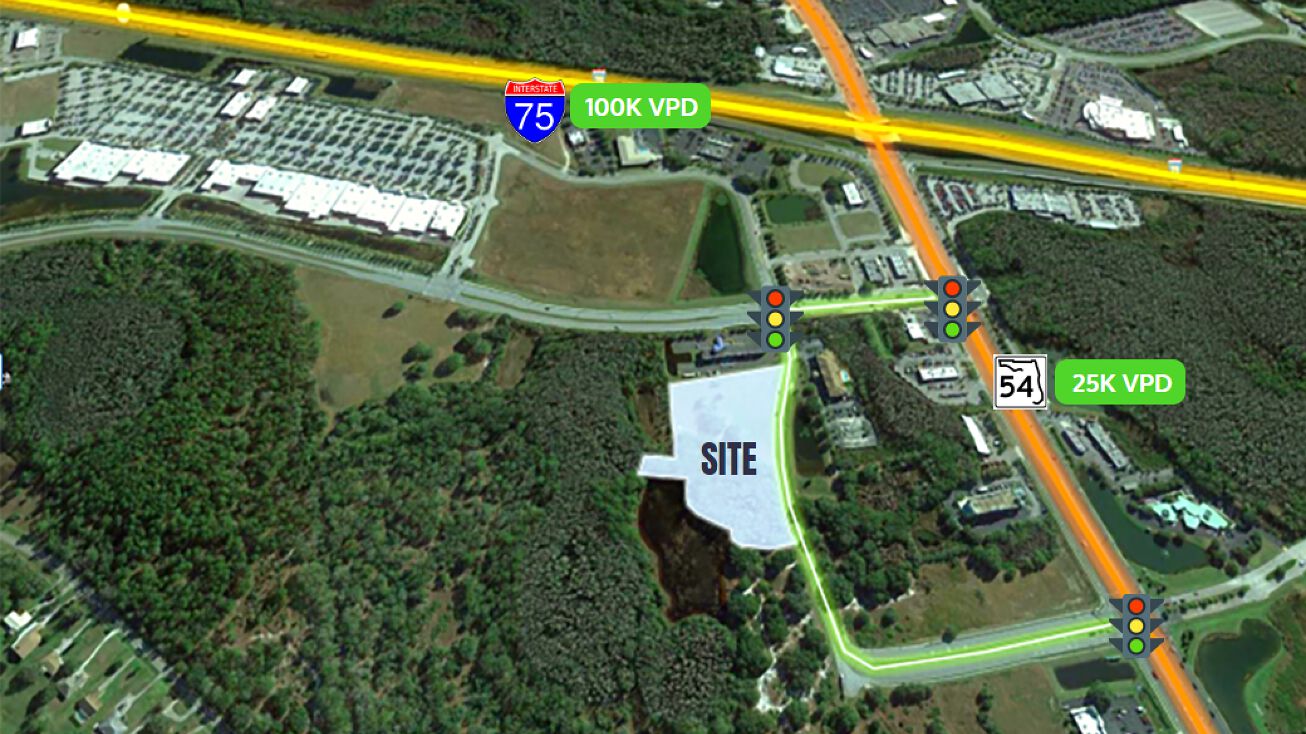 Dayflower Blvd, Wesley Chapel, FL 33544 Land for Sale 4.71 Acres