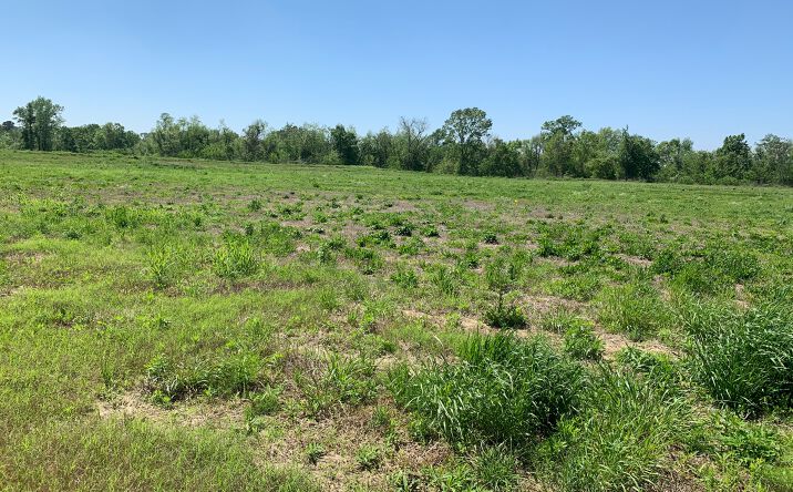 Pictures of Land property located at Lot E-2a Hedges Dev Hwy 61 South, Natchez, MS 39120 for sales - image #1