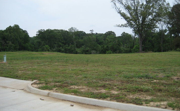 Pictures of Land property located at Lot 12 Beechwood, Natchez, MS 39120 for sales - image #1
