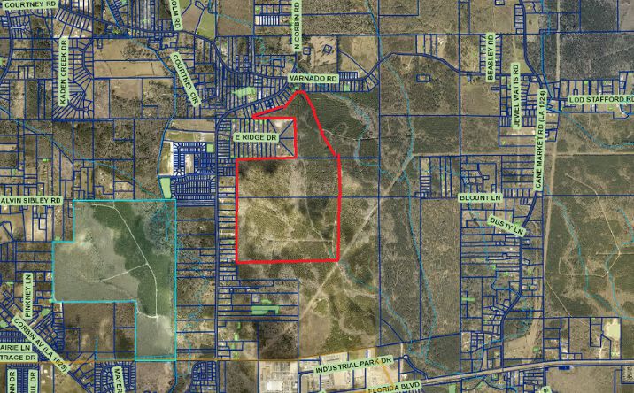 Pictures of Land property located at N Corbin Rd, Walker, LA 70785 for sales - image #1