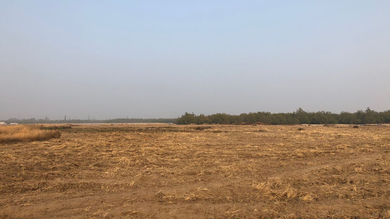 Pinewood StParcel 2 (046220037), Delhi, CA 95315