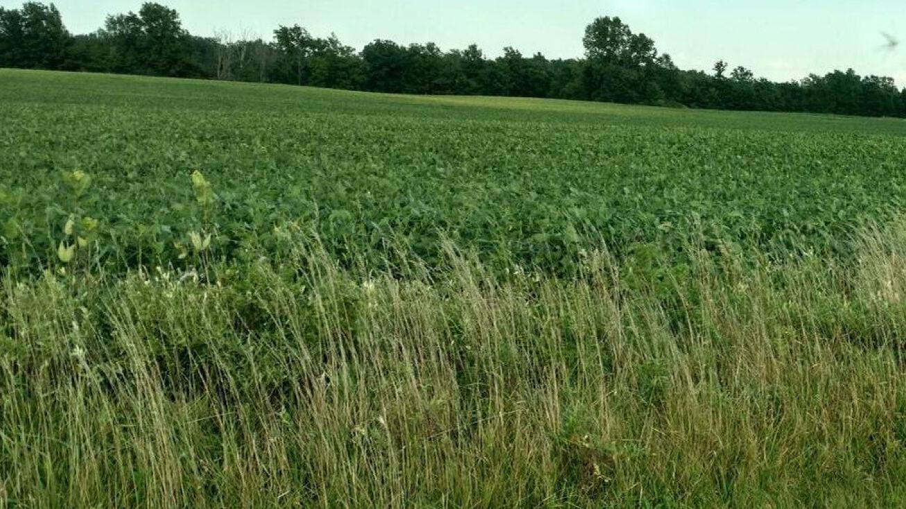 0 Johnson Road, Marysville, OH 43040