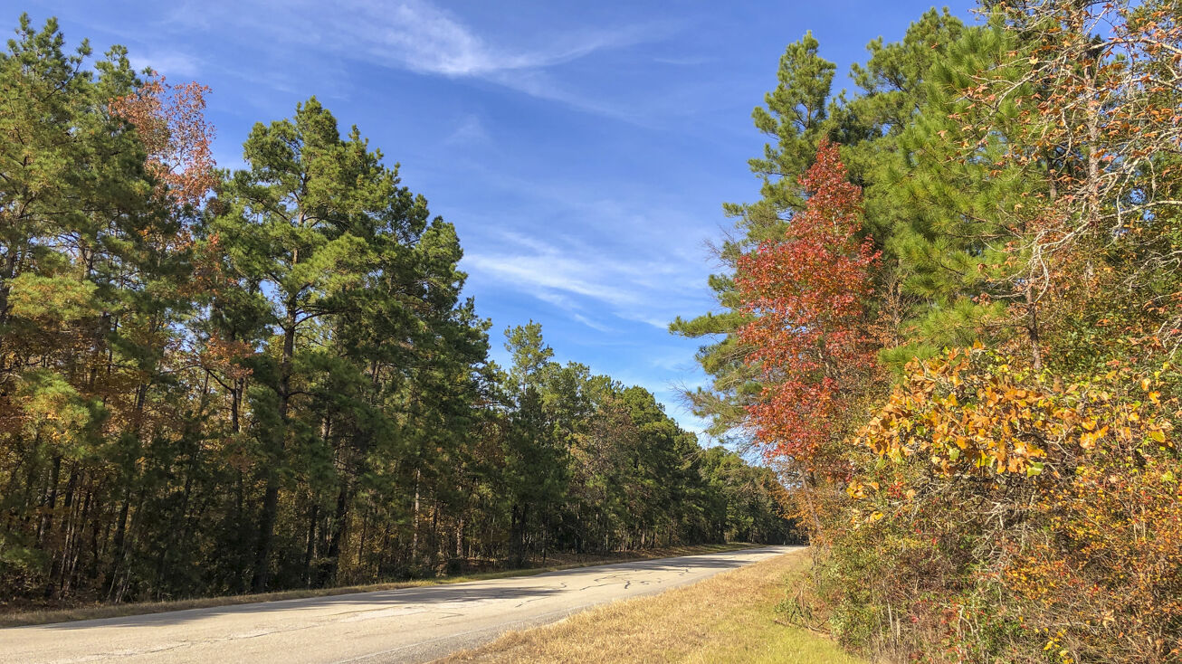 20 Acres T12B Off Waterwood Pwky, Huntsville, TX 77320